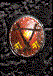 Drachenshield