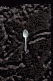 Silver Spoon of the Prophet