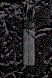 Trueshot Quiver