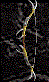 Crude Skraug Bow
