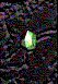 Gem of Rejuvenation