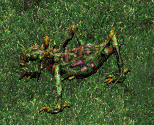 Zzartgax