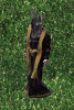 Doktor Spine