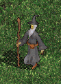 Illusion Weaver