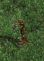 Morlokk