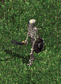 Spectral Knight