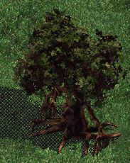 Demon Tree